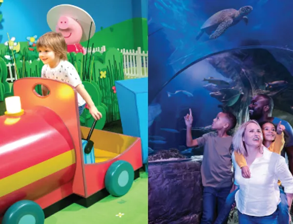 PPWOP & SL Web Ticket